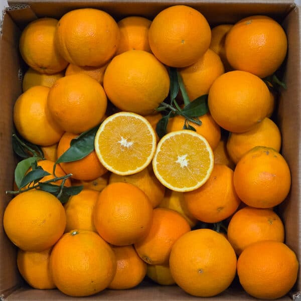 Arancia bionda Navelina VCR - 4kg