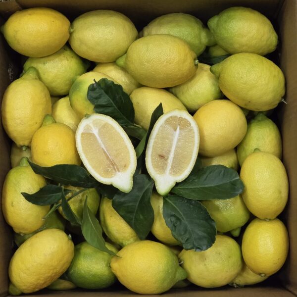 Limone Interdonato o Liscione 4 kg
