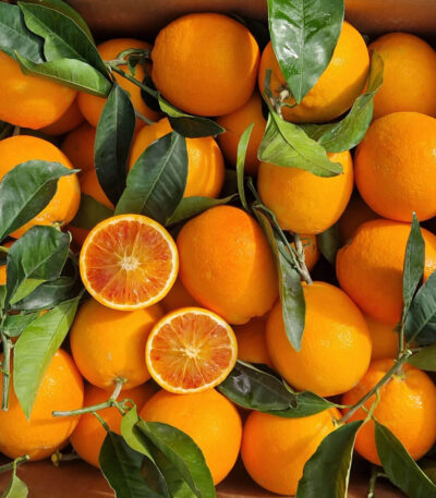 Primofiore - arance