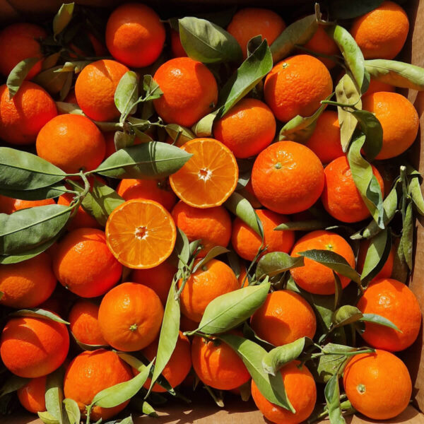 Primofiore - mandarini