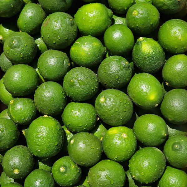 Primofiore - lime