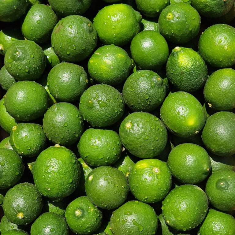 Primofiore - lime