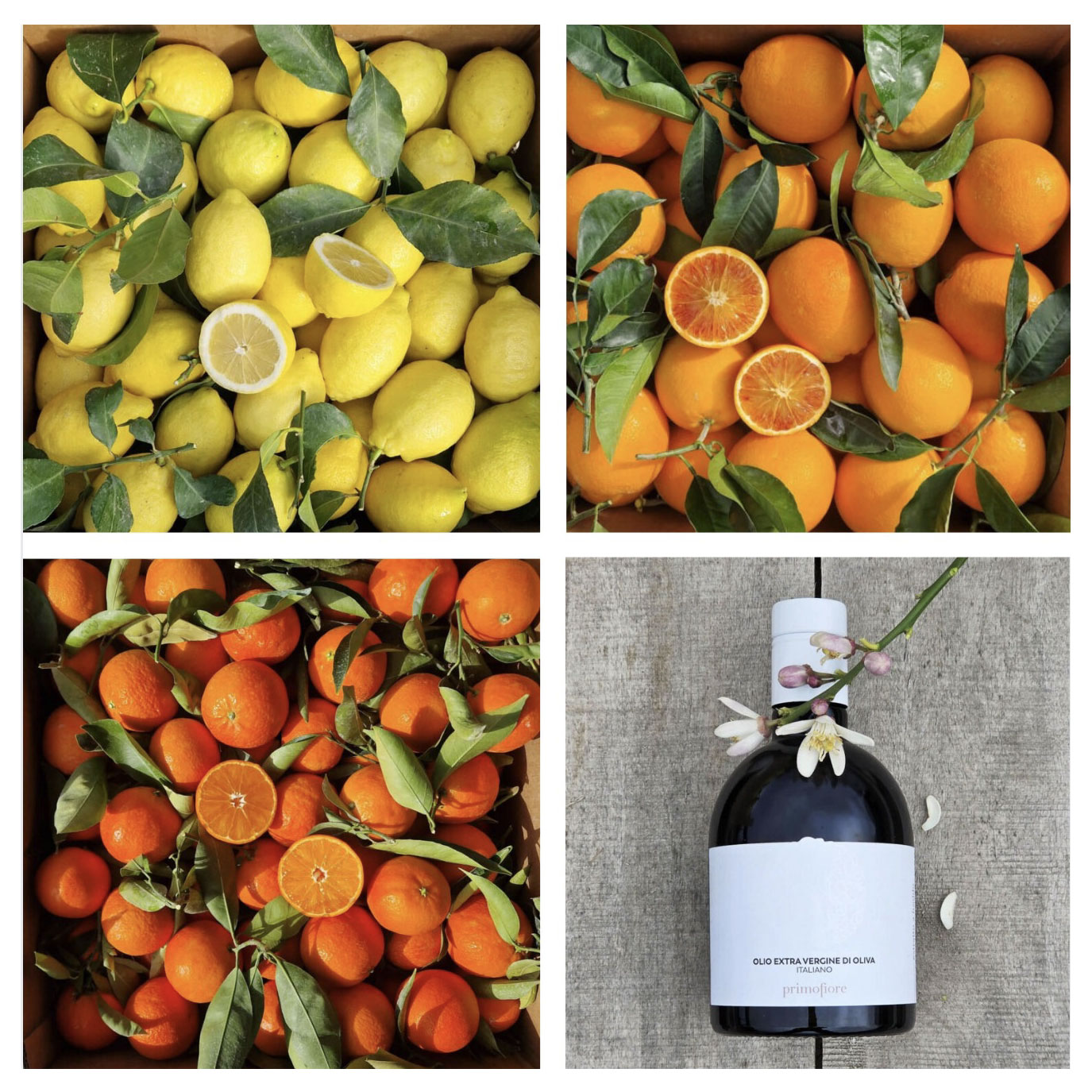 OLIO+AGRUMI Componi confezione: misto Agrumi + 4 olio = 16 Kg - immagine 1