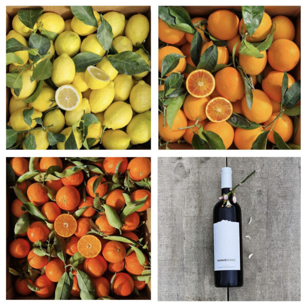 Componi confezione: Misto Agrumi + 4 Vino = 16 Kg + Finger Lime
